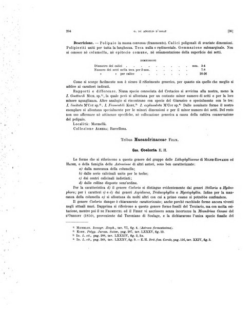 Palaeontographia Italica raccolta di monografie paleontologiche fondata da Mario Canavari nell'anno 1895