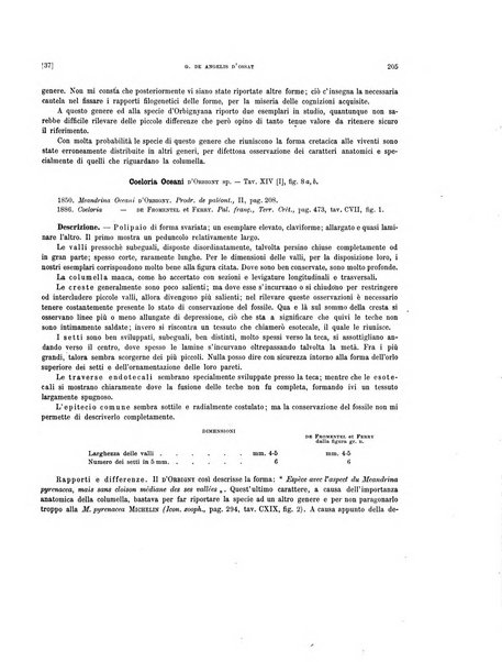 Palaeontographia Italica raccolta di monografie paleontologiche fondata da Mario Canavari nell'anno 1895