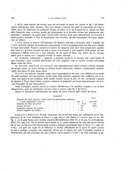 Palaeontographia Italica raccolta di monografie paleontologiche fondata da Mario Canavari nell'anno 1895