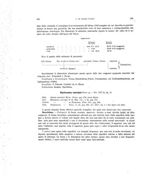 Palaeontographia Italica raccolta di monografie paleontologiche fondata da Mario Canavari nell'anno 1895