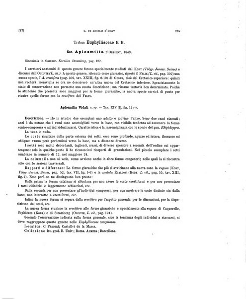 Palaeontographia Italica raccolta di monografie paleontologiche fondata da Mario Canavari nell'anno 1895