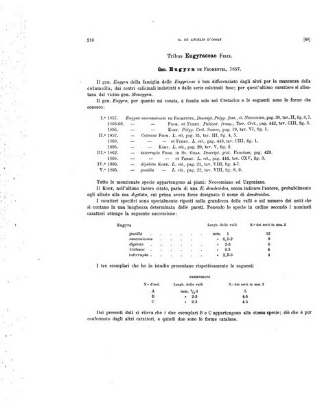 Palaeontographia Italica raccolta di monografie paleontologiche fondata da Mario Canavari nell'anno 1895