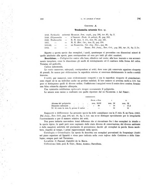 Palaeontographia Italica raccolta di monografie paleontologiche fondata da Mario Canavari nell'anno 1895