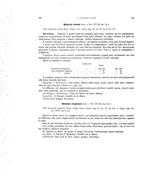 Palaeontographia Italica raccolta di monografie paleontologiche fondata da Mario Canavari nell'anno 1895