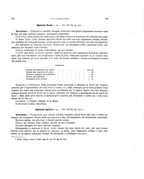 Palaeontographia Italica raccolta di monografie paleontologiche fondata da Mario Canavari nell'anno 1895