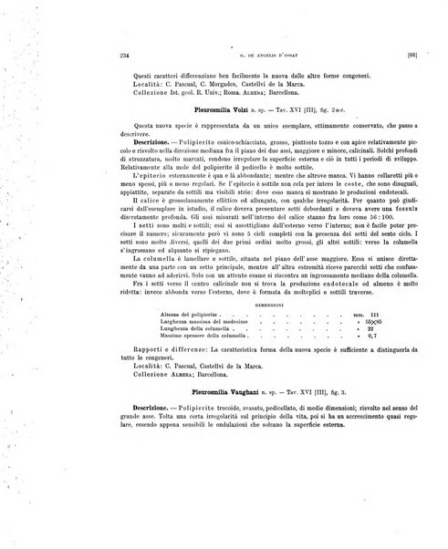 Palaeontographia Italica raccolta di monografie paleontologiche fondata da Mario Canavari nell'anno 1895