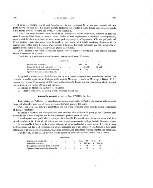 Palaeontographia Italica raccolta di monografie paleontologiche fondata da Mario Canavari nell'anno 1895