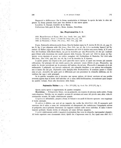 Palaeontographia Italica raccolta di monografie paleontologiche fondata da Mario Canavari nell'anno 1895