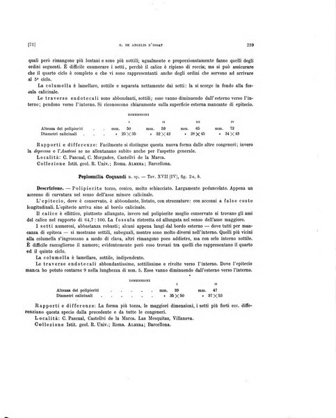 Palaeontographia Italica raccolta di monografie paleontologiche fondata da Mario Canavari nell'anno 1895