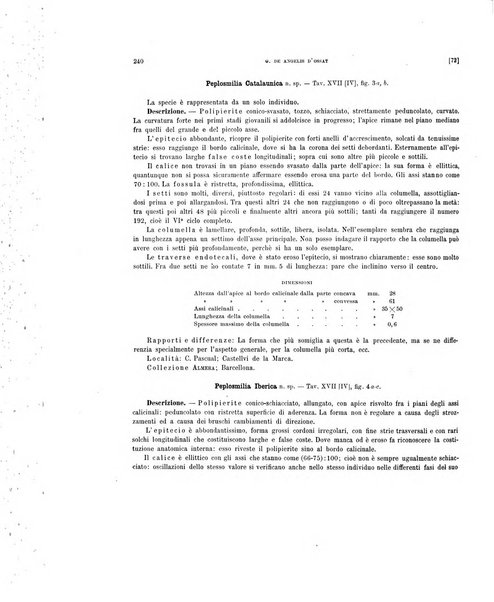 Palaeontographia Italica raccolta di monografie paleontologiche fondata da Mario Canavari nell'anno 1895