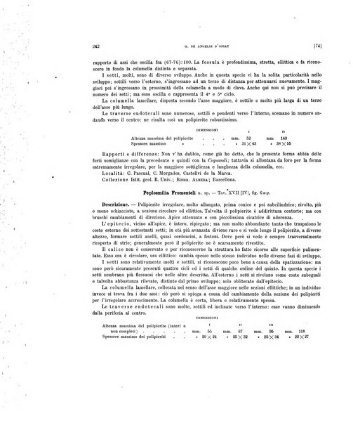 Palaeontographia Italica raccolta di monografie paleontologiche fondata da Mario Canavari nell'anno 1895