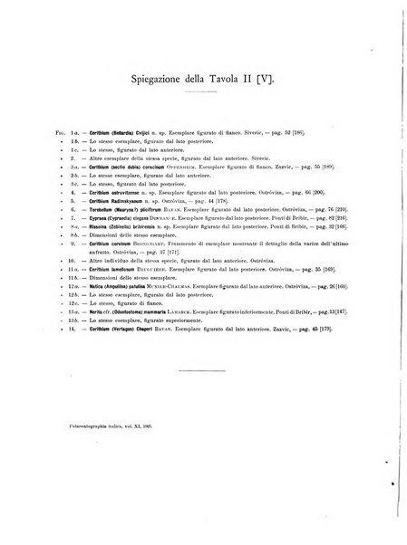 Palaeontographia Italica raccolta di monografie paleontologiche fondata da Mario Canavari nell'anno 1895