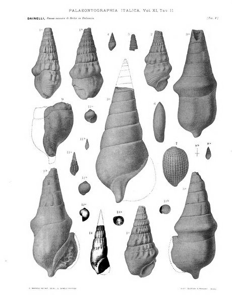 Palaeontographia Italica raccolta di monografie paleontologiche fondata da Mario Canavari nell'anno 1895