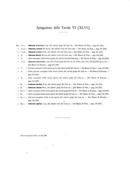 Palaeontographia Italica raccolta di monografie paleontologiche fondata da Mario Canavari nell'anno 1895