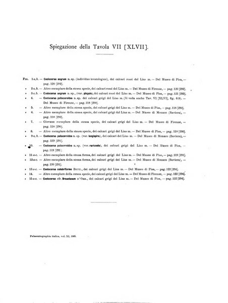 Palaeontographia Italica raccolta di monografie paleontologiche fondata da Mario Canavari nell'anno 1895