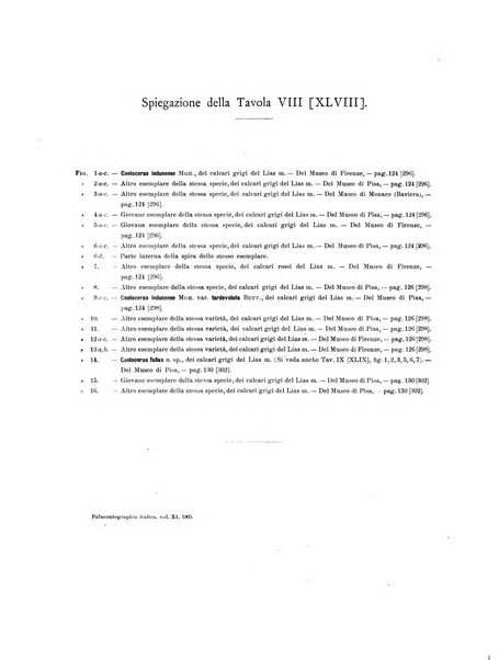 Palaeontographia Italica raccolta di monografie paleontologiche fondata da Mario Canavari nell'anno 1895