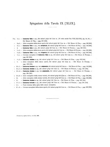 Palaeontographia Italica raccolta di monografie paleontologiche fondata da Mario Canavari nell'anno 1895