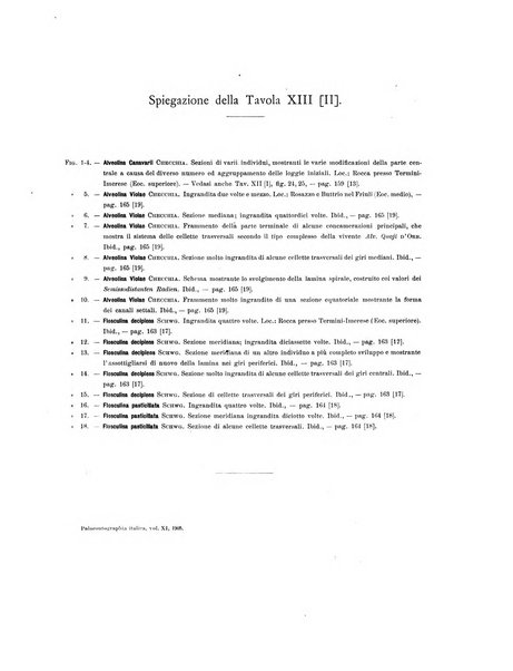 Palaeontographia Italica raccolta di monografie paleontologiche fondata da Mario Canavari nell'anno 1895