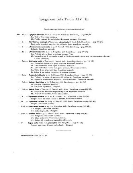 Palaeontographia Italica raccolta di monografie paleontologiche fondata da Mario Canavari nell'anno 1895