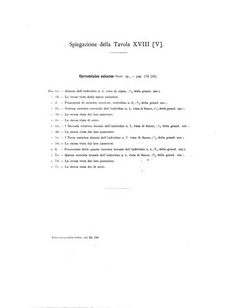 Palaeontographia Italica raccolta di monografie paleontologiche fondata da Mario Canavari nell'anno 1895