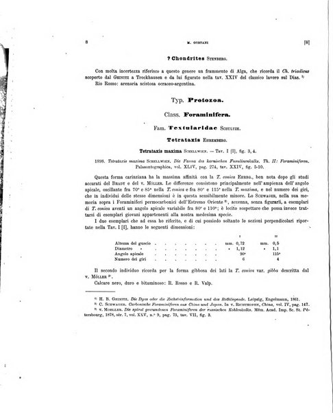 Palaeontographia Italica raccolta di monografie paleontologiche fondata da Mario Canavari nell'anno 1895