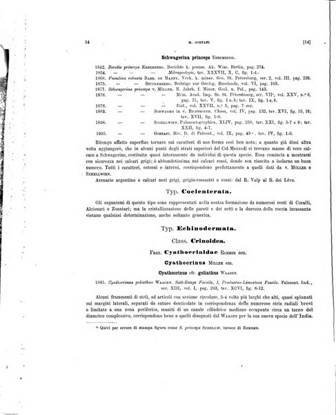 Palaeontographia Italica raccolta di monografie paleontologiche fondata da Mario Canavari nell'anno 1895