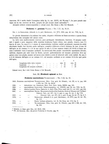 Palaeontographia Italica raccolta di monografie paleontologiche fondata da Mario Canavari nell'anno 1895