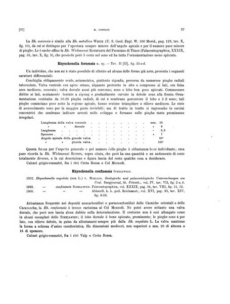 Palaeontographia Italica raccolta di monografie paleontologiche fondata da Mario Canavari nell'anno 1895