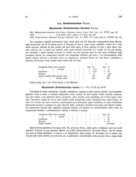 Palaeontographia Italica raccolta di monografie paleontologiche fondata da Mario Canavari nell'anno 1895