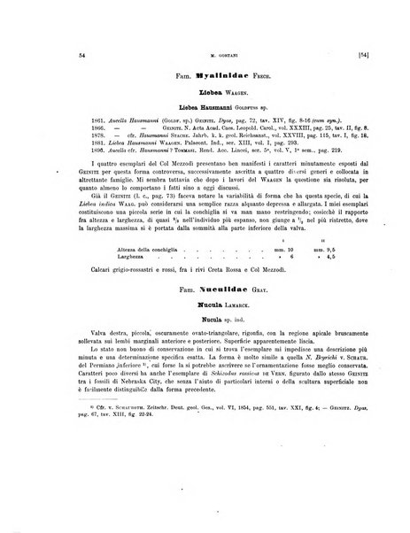 Palaeontographia Italica raccolta di monografie paleontologiche fondata da Mario Canavari nell'anno 1895