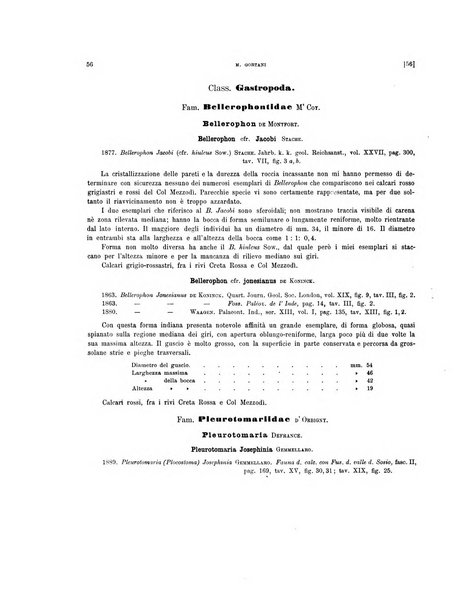 Palaeontographia Italica raccolta di monografie paleontologiche fondata da Mario Canavari nell'anno 1895