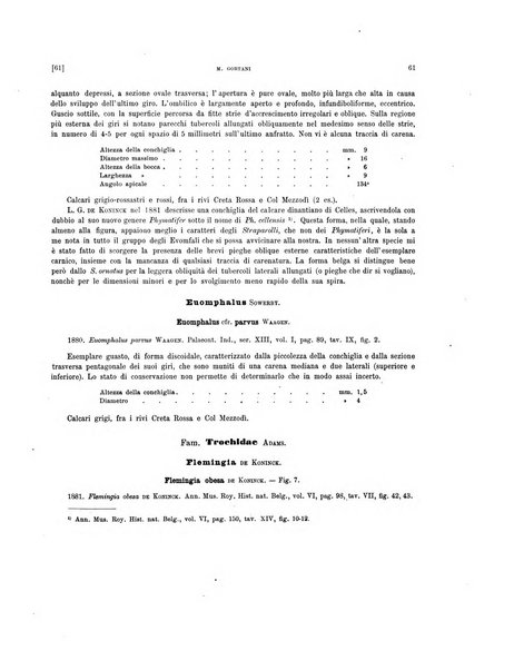 Palaeontographia Italica raccolta di monografie paleontologiche fondata da Mario Canavari nell'anno 1895