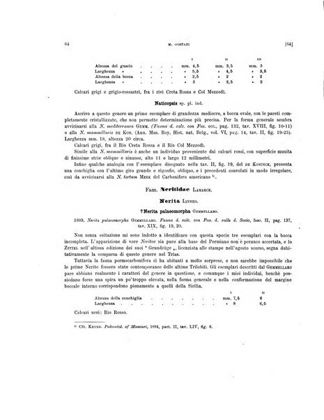 Palaeontographia Italica raccolta di monografie paleontologiche fondata da Mario Canavari nell'anno 1895