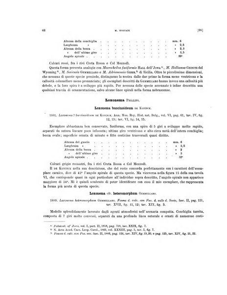 Palaeontographia Italica raccolta di monografie paleontologiche fondata da Mario Canavari nell'anno 1895