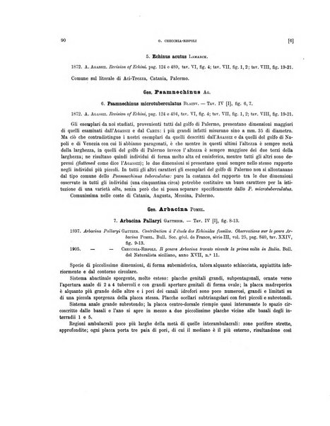 Palaeontographia Italica raccolta di monografie paleontologiche fondata da Mario Canavari nell'anno 1895