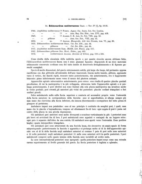 Palaeontographia Italica raccolta di monografie paleontologiche fondata da Mario Canavari nell'anno 1895