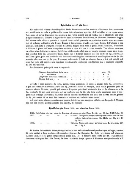 Palaeontographia Italica raccolta di monografie paleontologiche fondata da Mario Canavari nell'anno 1895