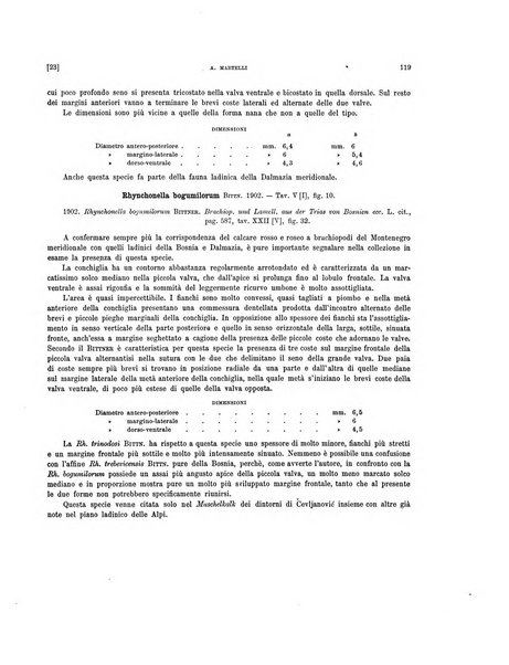 Palaeontographia Italica raccolta di monografie paleontologiche fondata da Mario Canavari nell'anno 1895