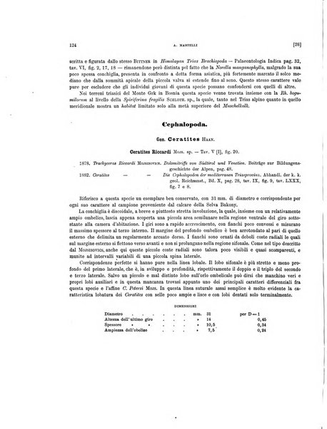 Palaeontographia Italica raccolta di monografie paleontologiche fondata da Mario Canavari nell'anno 1895