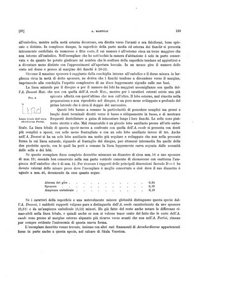 Palaeontographia Italica raccolta di monografie paleontologiche fondata da Mario Canavari nell'anno 1895