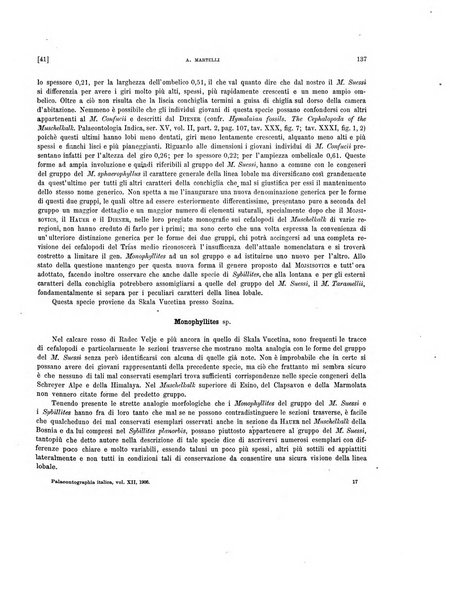 Palaeontographia Italica raccolta di monografie paleontologiche fondata da Mario Canavari nell'anno 1895