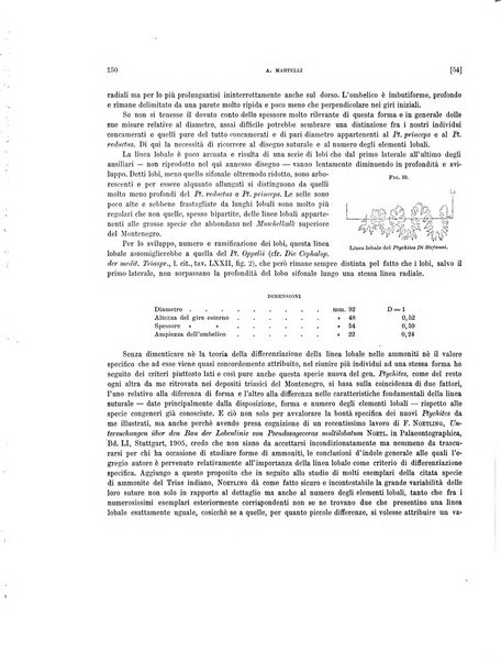 Palaeontographia Italica raccolta di monografie paleontologiche fondata da Mario Canavari nell'anno 1895