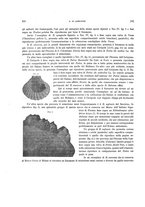 giornale/VEA0025754/1906/unico/00000232