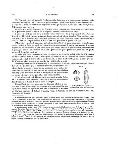 Palaeontographia Italica raccolta di monografie paleontologiche fondata da Mario Canavari nell'anno 1895