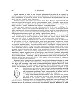 giornale/VEA0025754/1906/unico/00000250