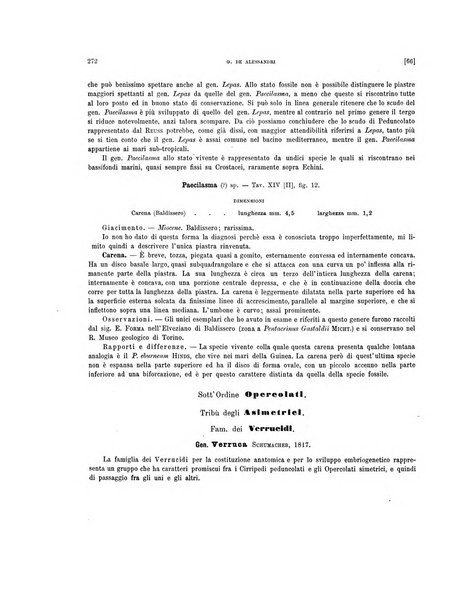 Palaeontographia Italica raccolta di monografie paleontologiche fondata da Mario Canavari nell'anno 1895