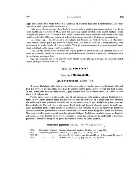 Palaeontographia Italica raccolta di monografie paleontologiche fondata da Mario Canavari nell'anno 1895