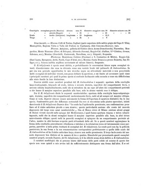 Palaeontographia Italica raccolta di monografie paleontologiche fondata da Mario Canavari nell'anno 1895