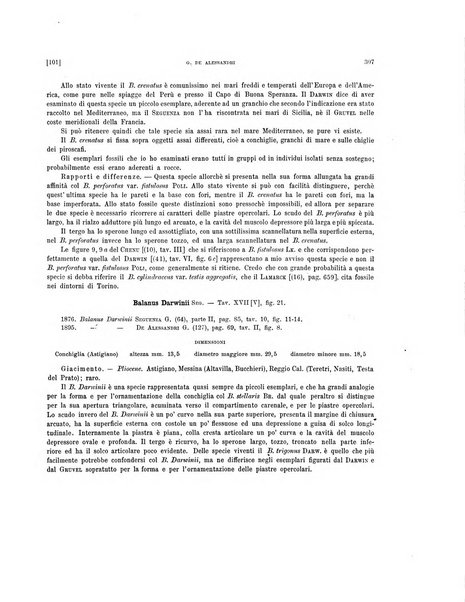 Palaeontographia Italica raccolta di monografie paleontologiche fondata da Mario Canavari nell'anno 1895