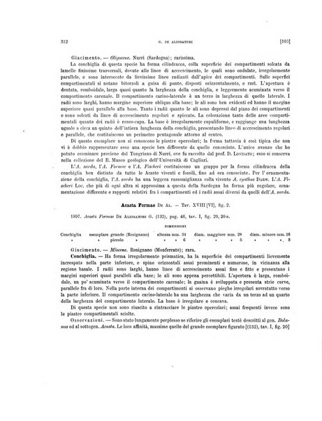 Palaeontographia Italica raccolta di monografie paleontologiche fondata da Mario Canavari nell'anno 1895